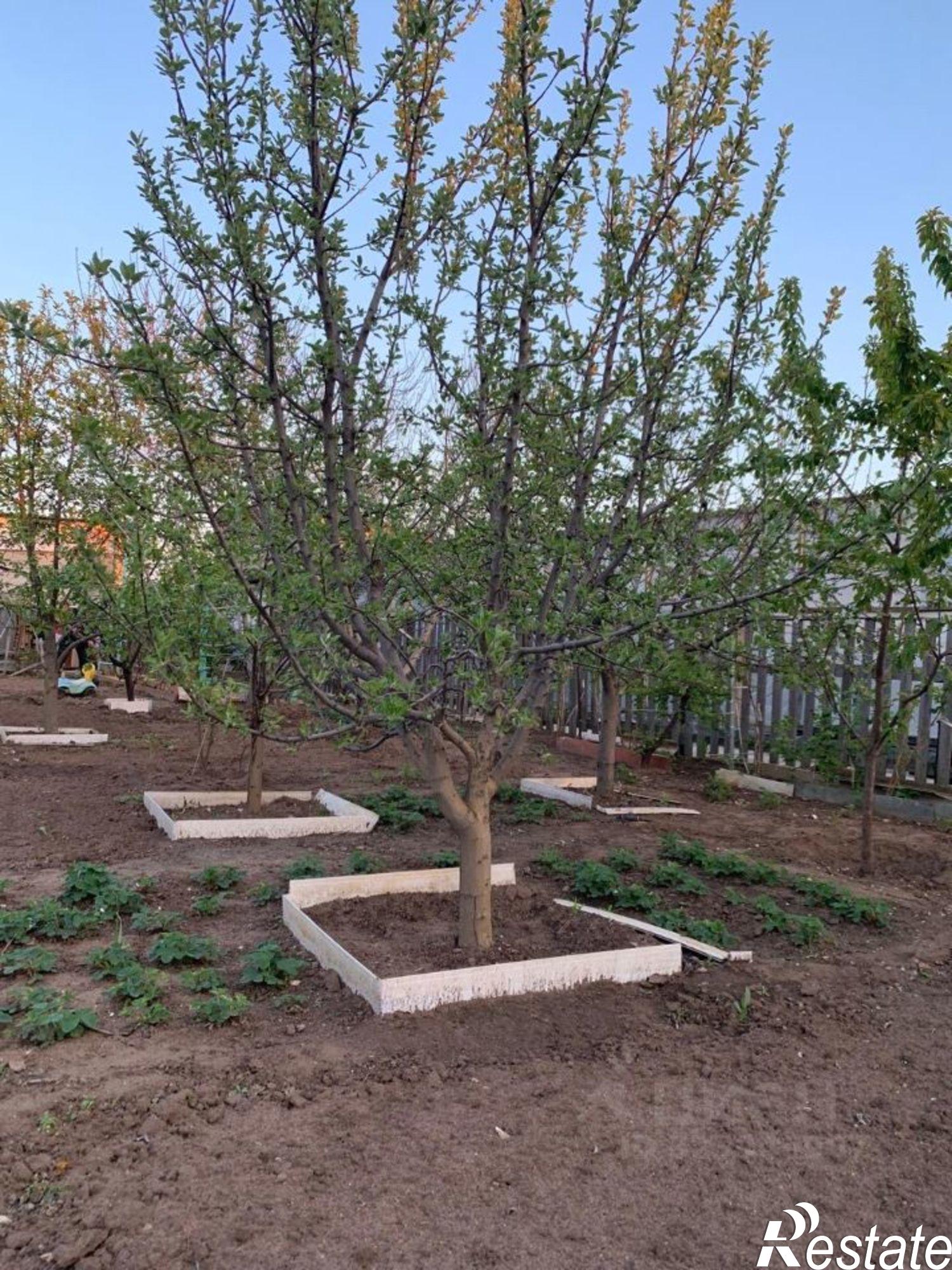 Купить дачу, дом, коттедж за 1 650 000 рублей на СНТ Урожай-2, Малиновая улица