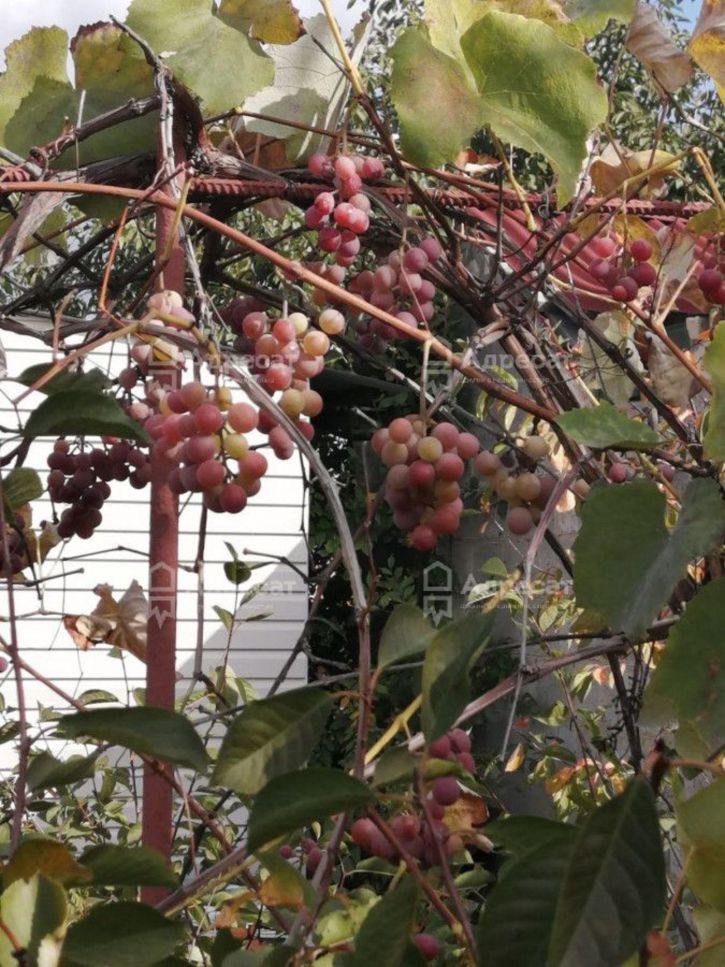 Коттедж/дом снт. Горнополянец