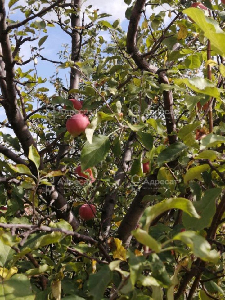 Коттедж/дом снт. Горнополянец