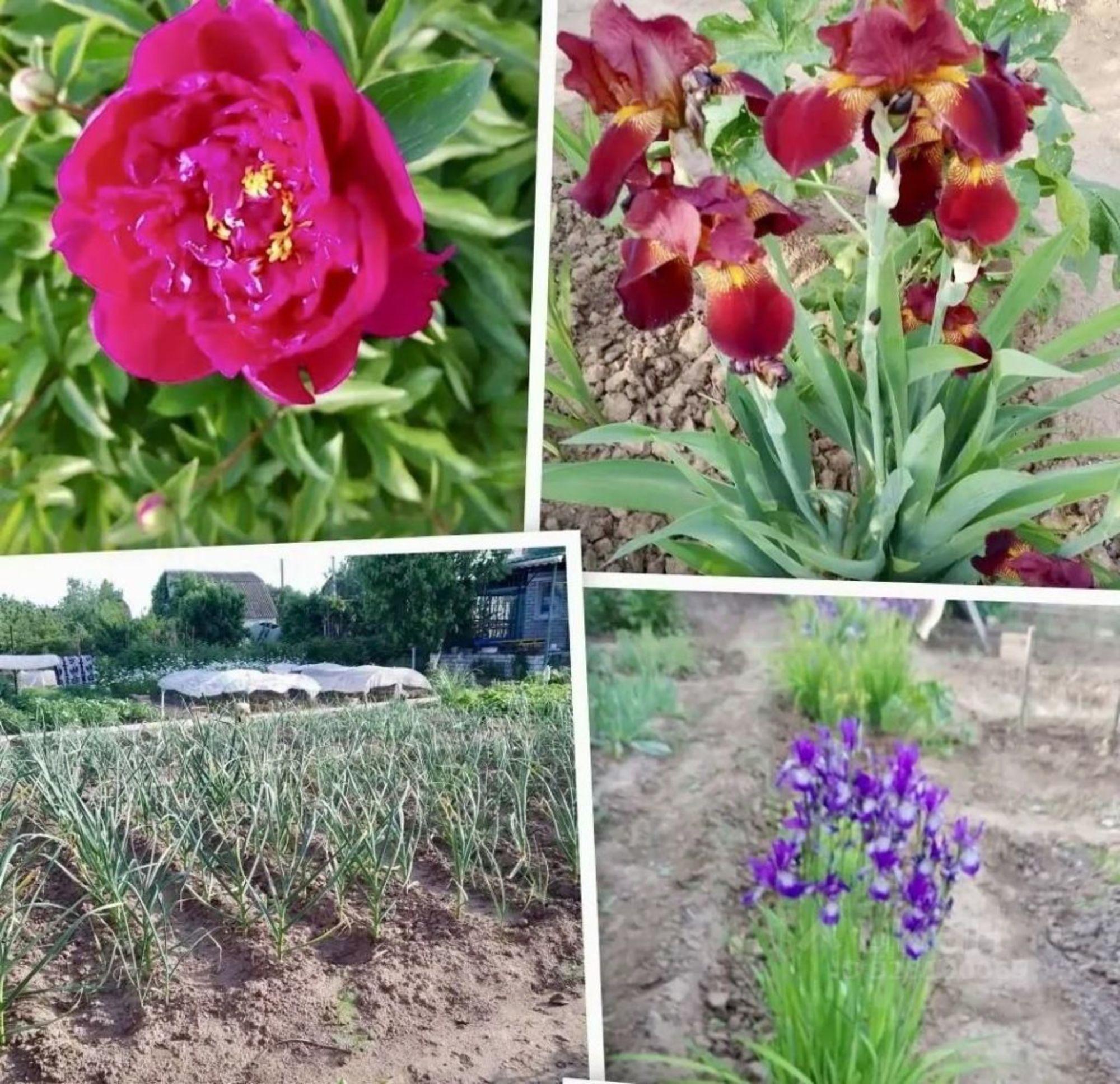 Купить дачу, дом, коттедж за 1 700 000 рублей на Мебельная
