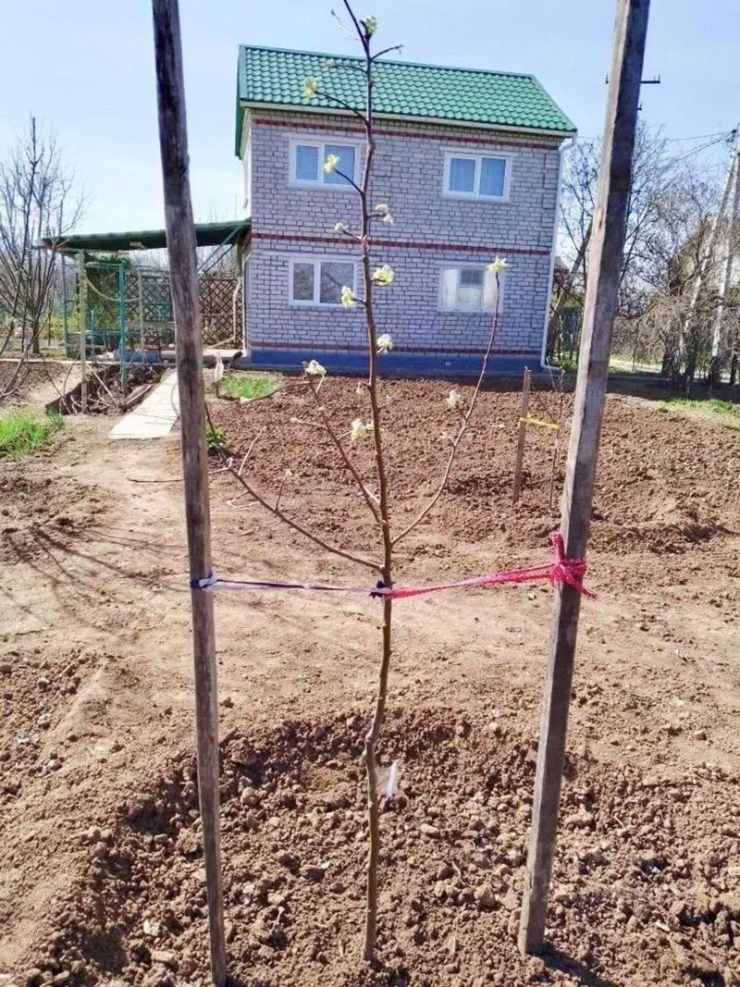 Купить дачу, дом, коттедж за 1 700 000 рублей на Мебельная