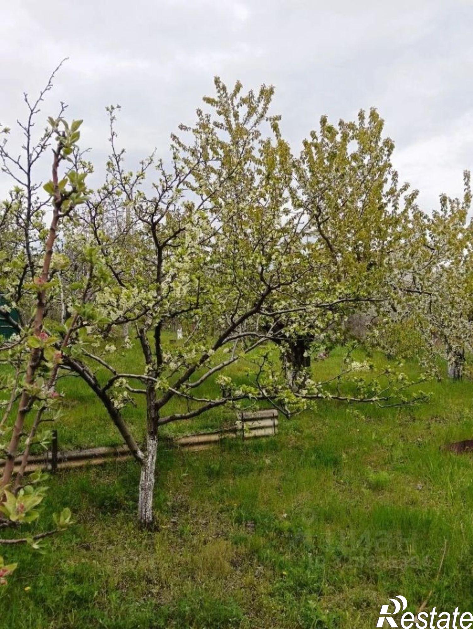 Купить дачу, дом, коттедж за 930 000 рублей на проспект Ленина