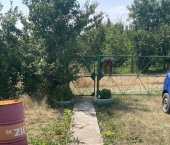 коттедж 20 кв м Краснопресненская улица