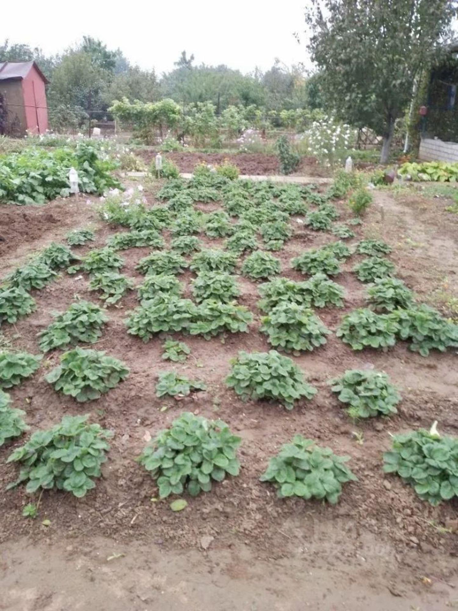 Купить дачу, дом, коттедж за 1 700 000 рублей на Мебельная