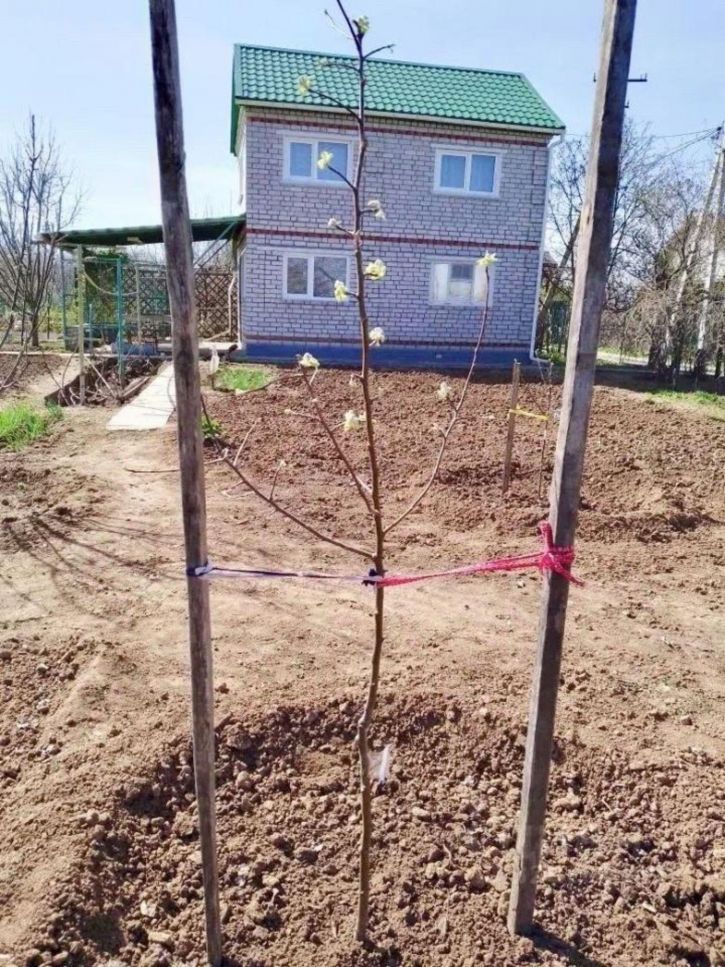 Коттедж/дом Мебельная