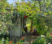 коттедж 12 кв м СНТ Лесник-2, Барбарисовая улица