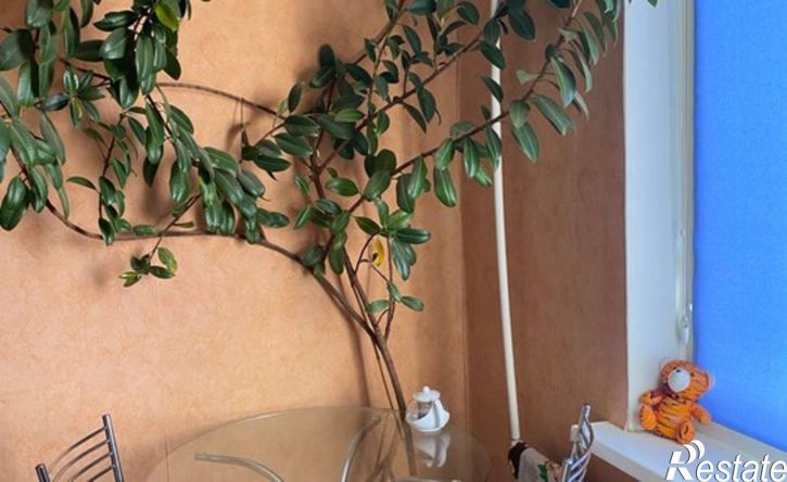3-комн квартира ул Космонавтов, 43,  д. 43