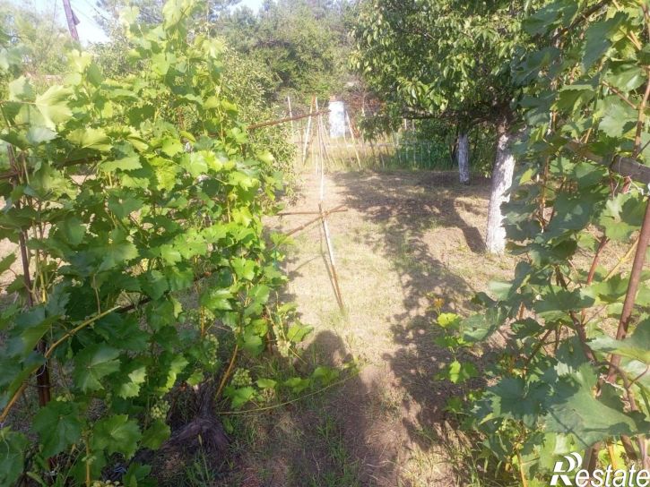 Коттедж/дом СНТ Рябина, 103
