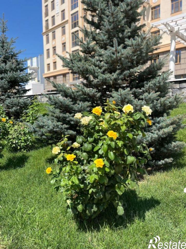 3-комн квартира в новом доме ул Бакинская, 6,  д. 6