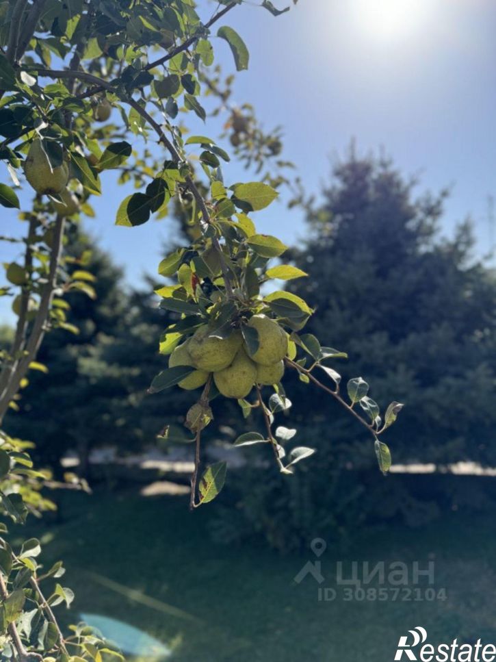Коттедж/дом ул им. Дзержинского, 77а,  д. 77а