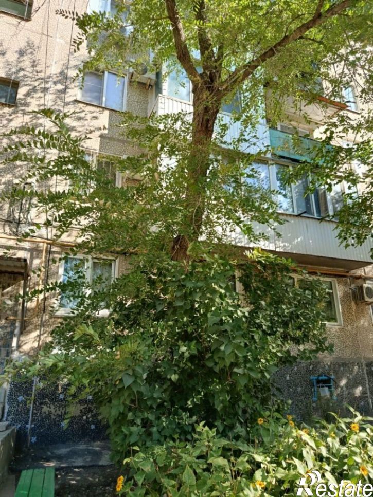 2-комн квартира ул им. Фадеева, 45,  д. 45