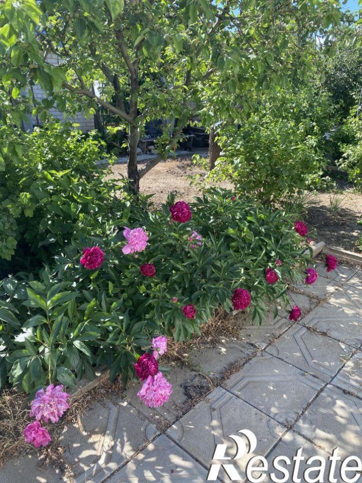 Коттедж/дом Городищенский район