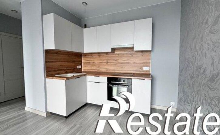 1-комн квартира улица Владимира Петровского, 4,  д. 4